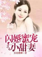 闪婚蜜宠小甜妻