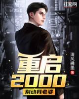 重启2000，别动我老婆