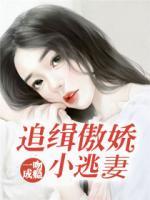 一吻成瘾：追缉傲娇小逃妻