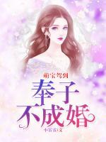 萌宝驾到：奉子不成婚